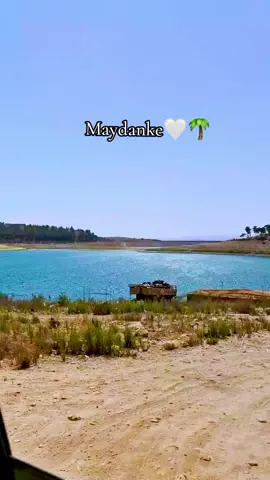 ميدانكي 🌴☀ #عفرين_راجو_بلبل_شيه_جنديرس 