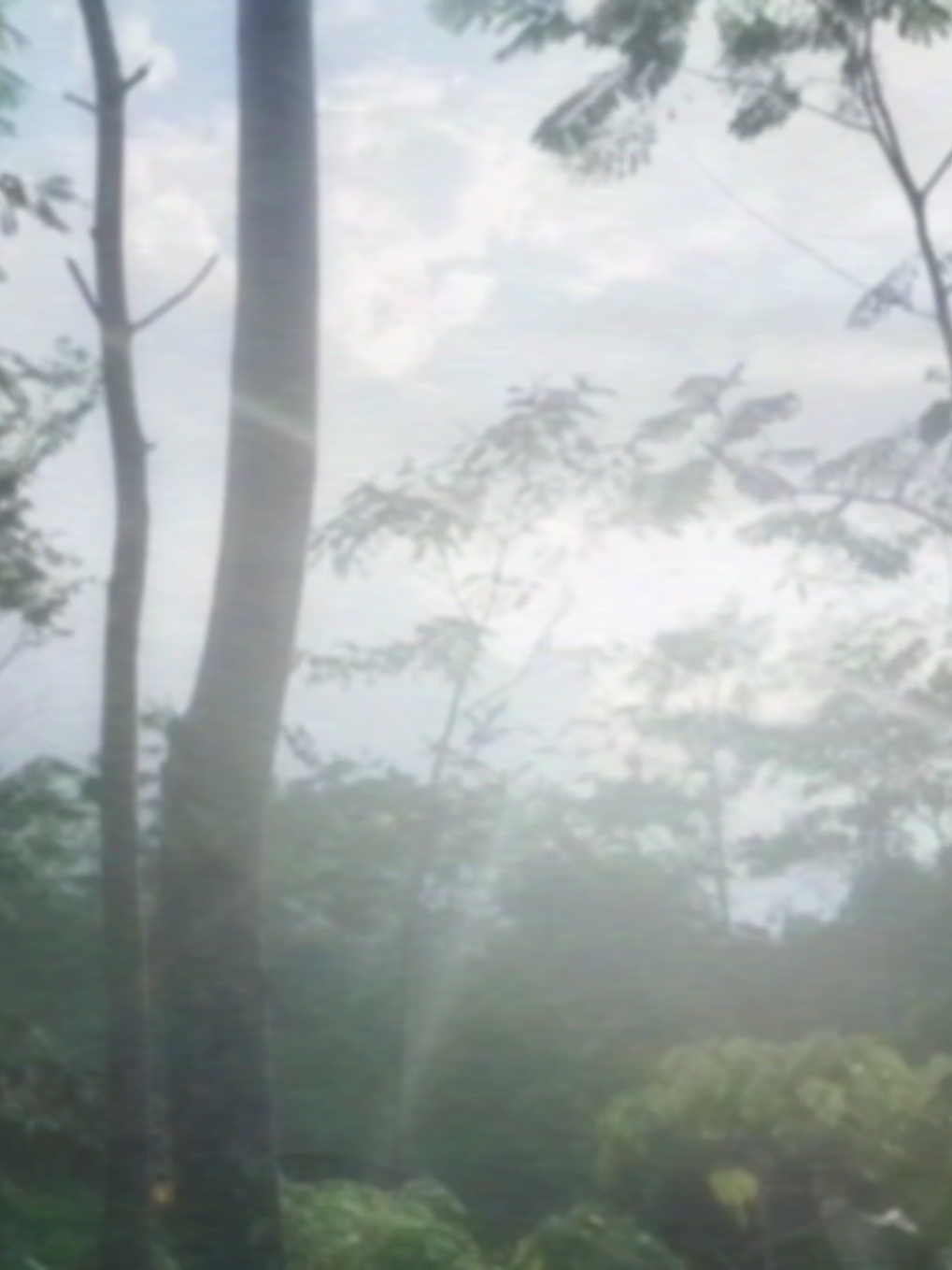 hari yang sudah terlewati