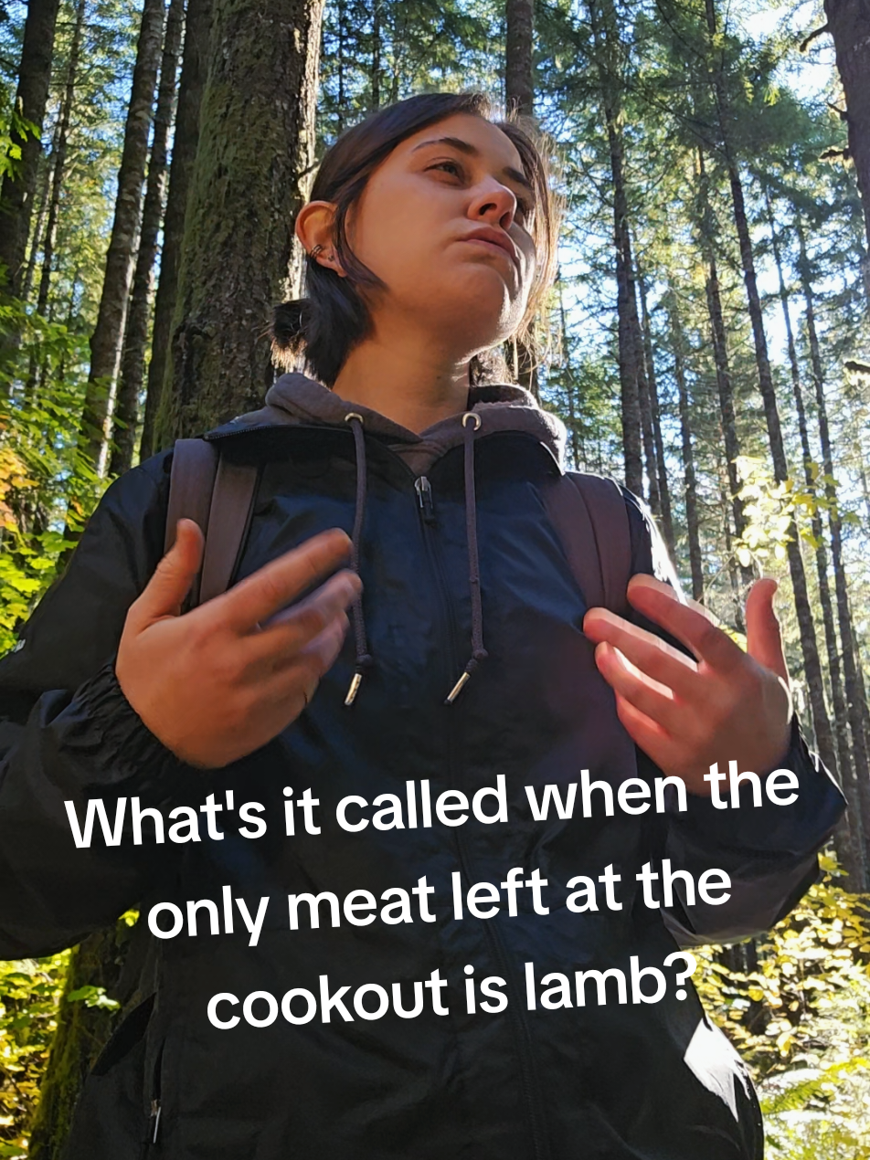 Vegetarian? That's okay. I'll cook lamb.  #fyp #imyourdadnow #dadjokes #wlw #ihategolf 