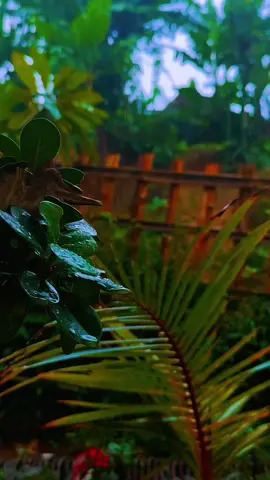 ألفين:الحياة مثل اللوحة، في بعض الأحيان تحتاج إلى الألوان الداكنة لجعل الضوء أكثر معنى. Hidup ini seperti lukisan, kadang perlu warna gelap untuk membuat terang lebih berarti #instrumen #instrumensholawat #sholawat #fypp 