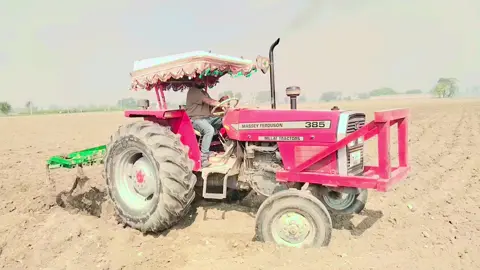 As a Senior Farm Manager, I passionately enjoy driving tractors as part of my farm work #field #agriculture #farming #trending #creatorsearchinsight 