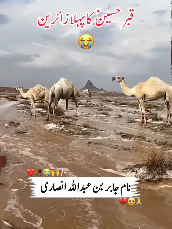 #Mola_Abbas_as_imam_sajad_as_aur_un_ki_pardadar_Masaib_ #😭😭😭😭😭😭 