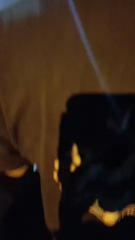 #storyorkes #ojinktogether #ojingfunjepara #fypage #masukberanda #infoorkesjeparakudusdemakpati #infoorkesjepara #jamaahcamelia #cameliapelantapipasti 