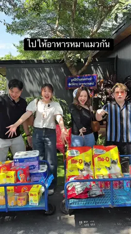 มูลนิธิบ้านสงเคราะห์สัตว์พิการ บางเลน นครปฐม 🐶🐈 #หมาแมว #สัตว์พิการบางเลน #มูลนิธิบ้านสงเคราะห์สัตว์พิการบางเลน #หมา#แมว @pk 