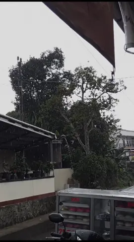 #fyppppppppppppppppppppppp #galaubrutal #4u #foryoupage #lagujawa 