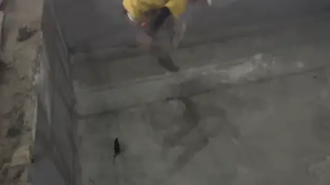 上班樂趣就是跟🐭玩🤣🤣#上推薦通知我 #防水 #防水日常 