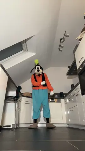 Let’s gooo dc:Me #goofy #costume #DIY #germany 
