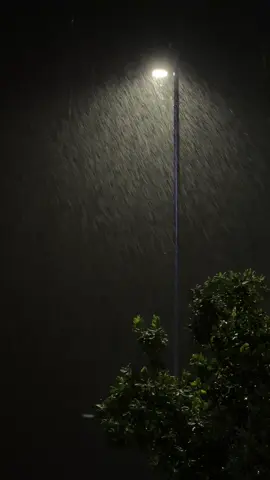 Thả thật nhẹ nỗi nhớ vào trong tiếng mưa đang rơi #fyp #mưa 