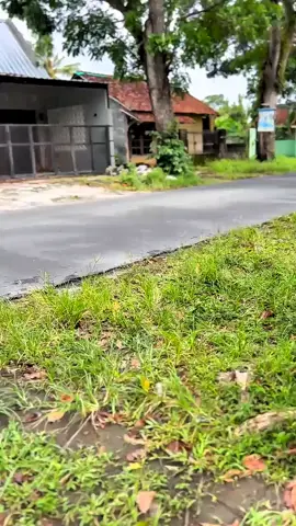 🥷 #dingklikgank  #2strokeindonesia  #pemudaberbahaya 