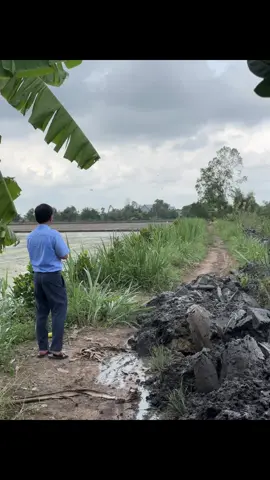 Năm nay nước lớn bà con Miền Tây mình vô cùng vất vả 😞#mualu #mientay #xh #fyp #viral 