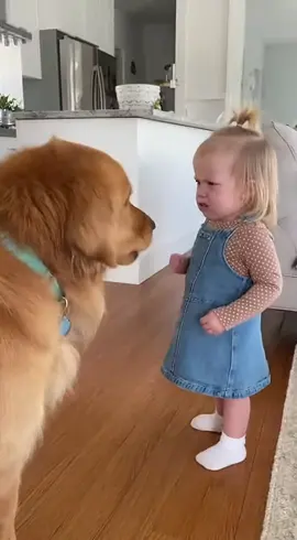 #dog #cutebaby #fly  #tiktok  #viral 