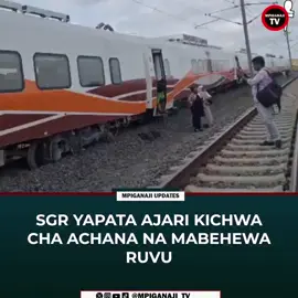 @Mshauri Serikali 🇹🇿 