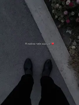 #рекомендации 