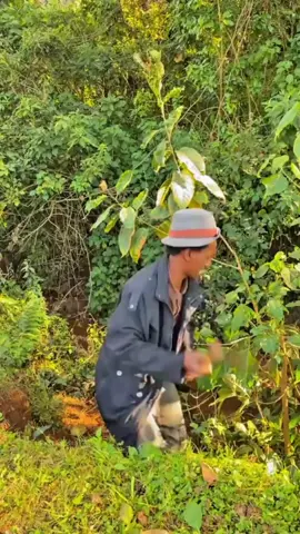 follow my page #cupcut #funnytiktok #oromotiktok❤️💚❤️ethiopiantiktok #fyppppppppppppppppppppppp 