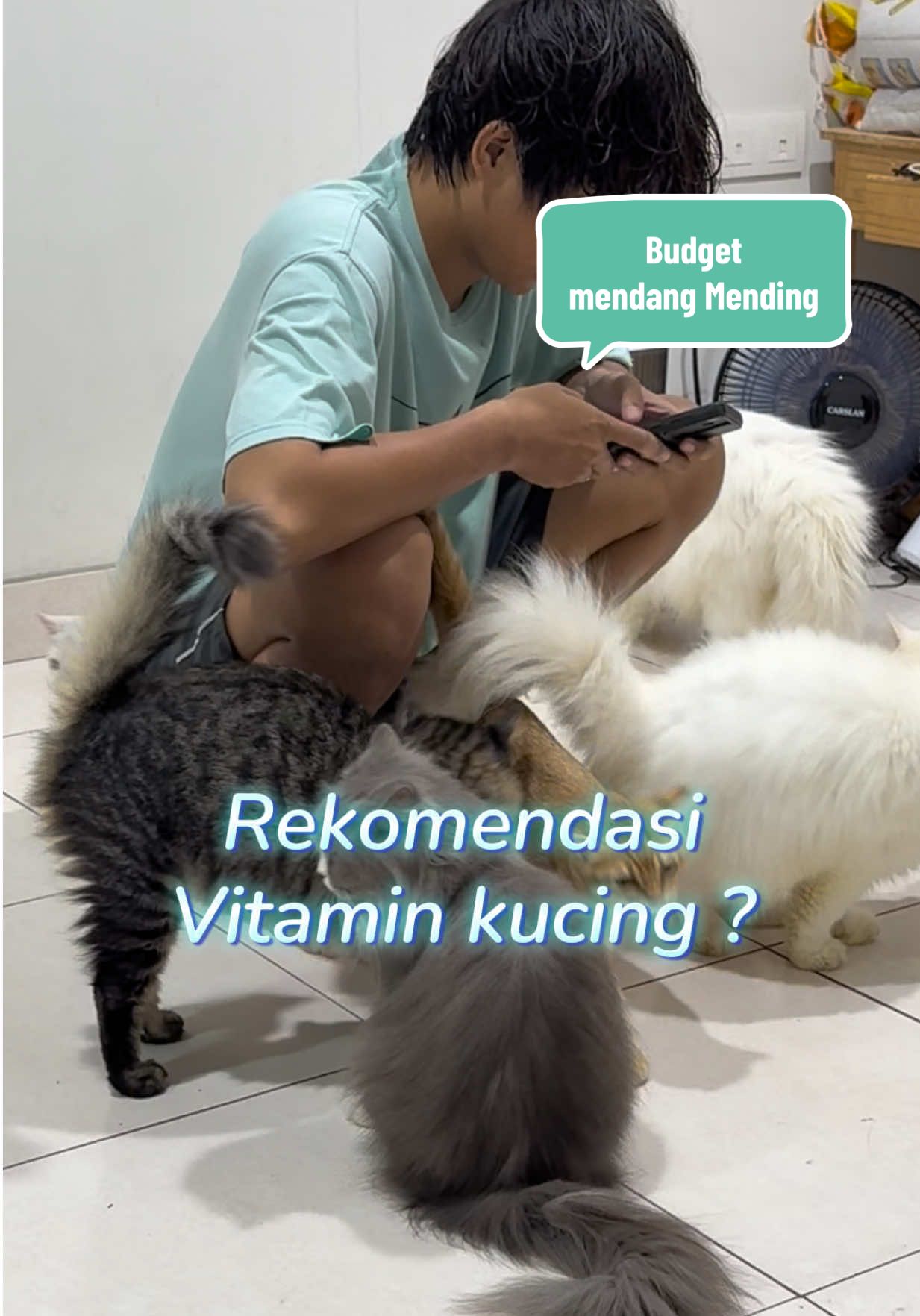 Buat budget minim kaya aku sih ini work banget ! Ada yang udah coba ?  . . #vitaminkucing #perawatankucing #purrfecthealt #cleversolutionsindonesia #vitamingembulkucing @cleversolutions indonesia 