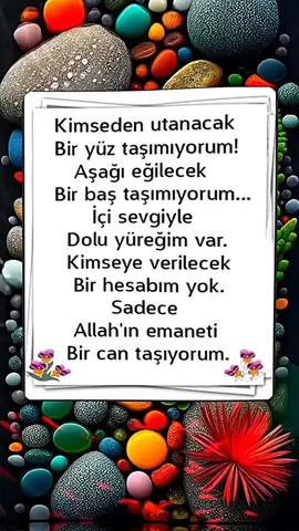 #fypage #tiktokindia #paylaş #fy #eyp @İlyas Eren @Eren EREN 