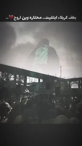 يم الغرب بجيت💔….#مجتبى_الكعبي #سيد_فاقد_الموسوي #رائد_البديري #اجود_الكعبي #حط_لايك 