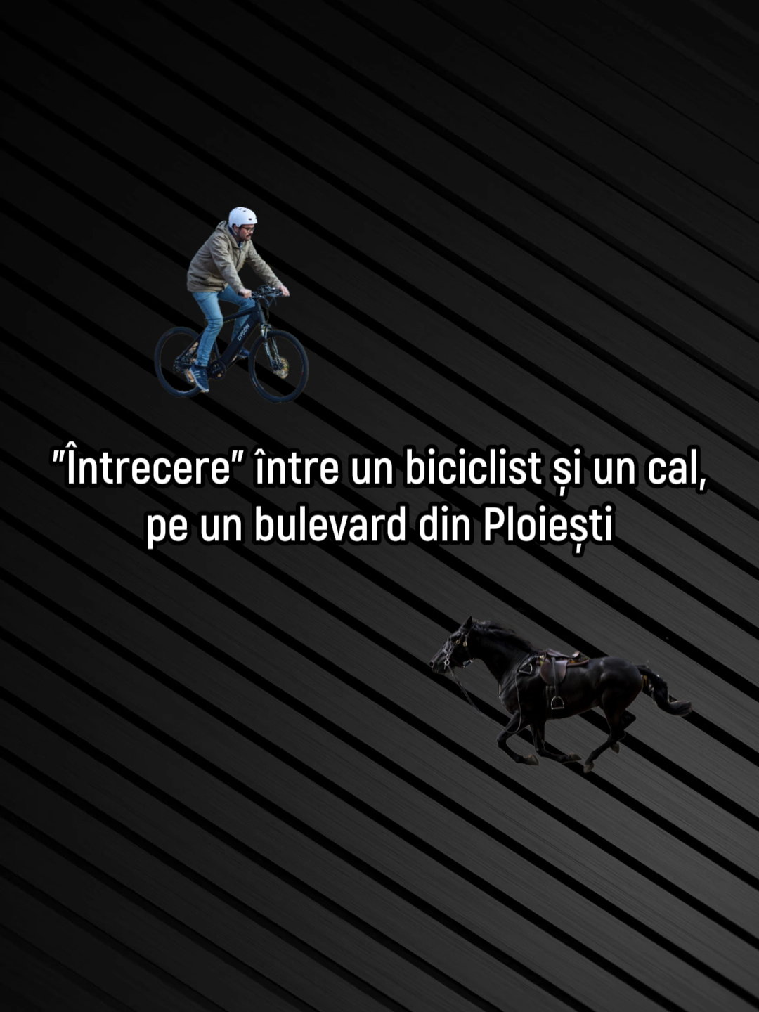 ”Întrecere” între un biciclist și un cal, pe un bulevard din Ploiești #viral #funny #calvsbike #cal #bicicleta #ploiesti