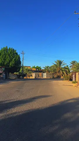 ونستي 🍃❤️‍🔥#تصويري_احترافي_الاجواء👌🏻🕊😴 #سوك_الشيوخ #الفضليه #الشعب_الصيني_ماله_حل😂😂 #لايك 