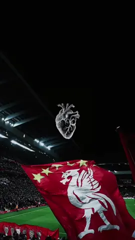 أعشقك يا ليفر 🫀🥺❤️ #liverpoolfans✊❤✊🇸🇴📌❤✊ #azrah_sports07 #liverpoolfc #ynwa🔴🔴🔴 