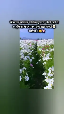 ❤️‍🩹 #viral #foryou #foryoupage #bdtiktokofficial🇧🇩 #jannatul_rupa_50 @TikTok @For You 