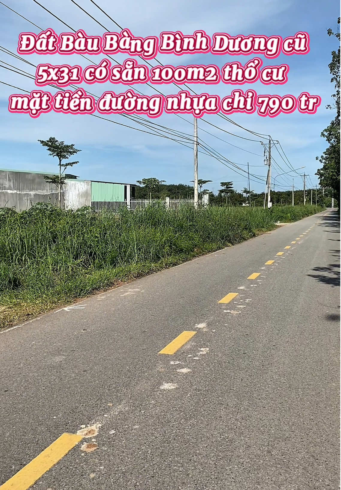 Còn 1 cặp 5x31 có 100m2 thổ cư mặt tiền đường nhựa chỉ 790 🍠#datbaubang #datnengiare 