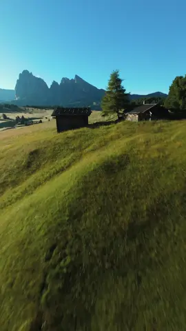 Dji O4 pro cinelog 30 v3 Alpe Di Siusi My Drone has broken free #fpv #alpedisiusi #dolomiti 