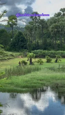 #ဆိုင်း #စိန်မင်းနိုင် #လက်စွမ်းပြ #အညာမြေရဲ့အနုပညာ #fypပေါ်ရောက်စမ်း 