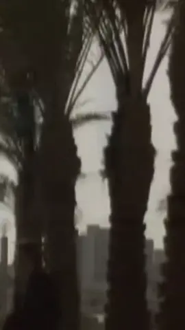 مابيا شي يحترق آني رماد الآن 💔🖤صدقني حيلي انتهى آني بقايا انسان #ليك______🖤___متابعه____اكسبلووور 