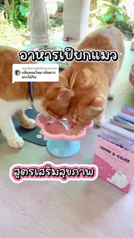 ตอบกลับ @สุธามาศ อาหารเปียกแมว THSPET กลิ่นหอม ไม่คาว น้องแมวกินง่าย #อาหารเปียกแมว #thspet 