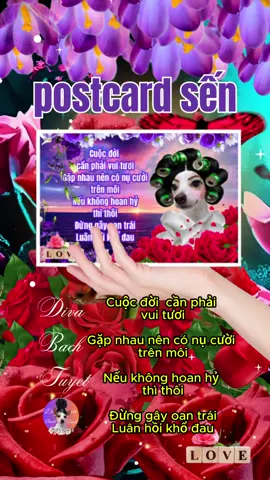 Những chiếc thiệp thú vị kèm theo sẽ khiến món quà trở nên đặc biệt và khó quên hơn bao giờ hết 🌸🌺🌷🌹 Sở hữu liền một chiếc thiệp siêu độc lạ này nhé #divabachtuyet #quotes #postcard #fyp #foryou 