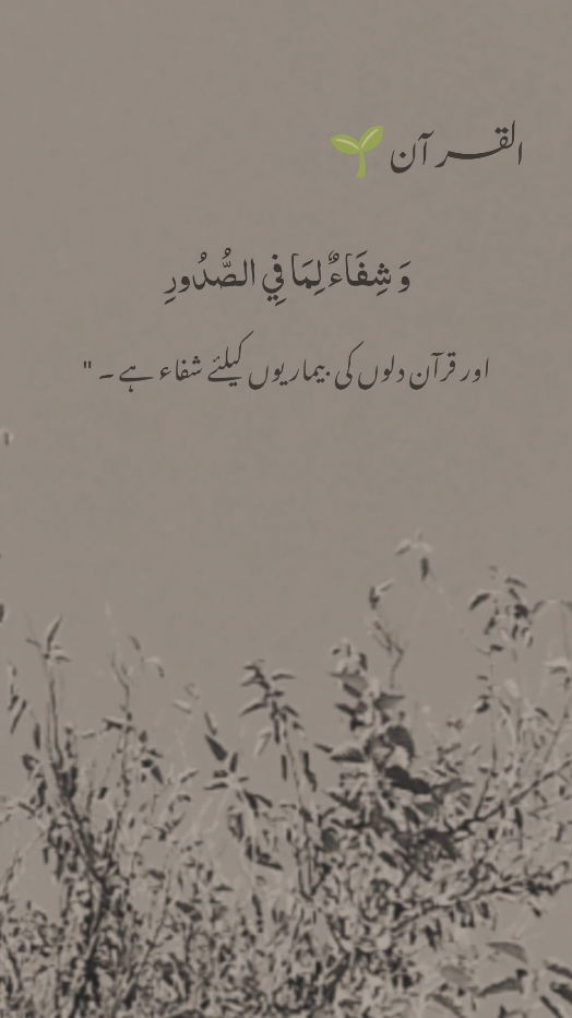 Islamic / moral messages #QuranRecitation #QuranTranslation #Dua #PowerfulDua #Forgiveness #Astaghfar #Repentance #IslamicSupplication #Ayat #quranquotes 