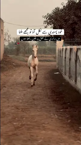 #fyp 