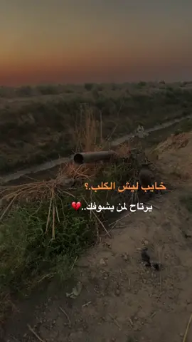 #عباراتكم💔💔؟ #تصويري_احترافي_الاجواء👌🏻🕊😴 #تصويري📸اكسبلوور #محمد_نزار #