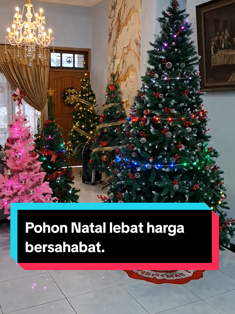 Bagi kalian yang cari pohon natal bisa cek di keranjang kuning
