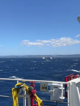 🌊#seamanlife 