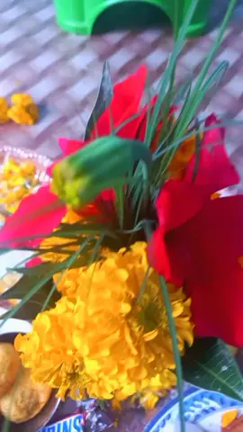 धेरै  बर्ष  पछि को मेरो  भाईटिका । चिरन  भाई सङ्ग  भने पहिलो ।🙏🙏🙏