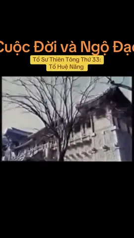 #ThiềnTôngTânDiệu #giácngộ #phâtgiaovietnam ###xuhuong 