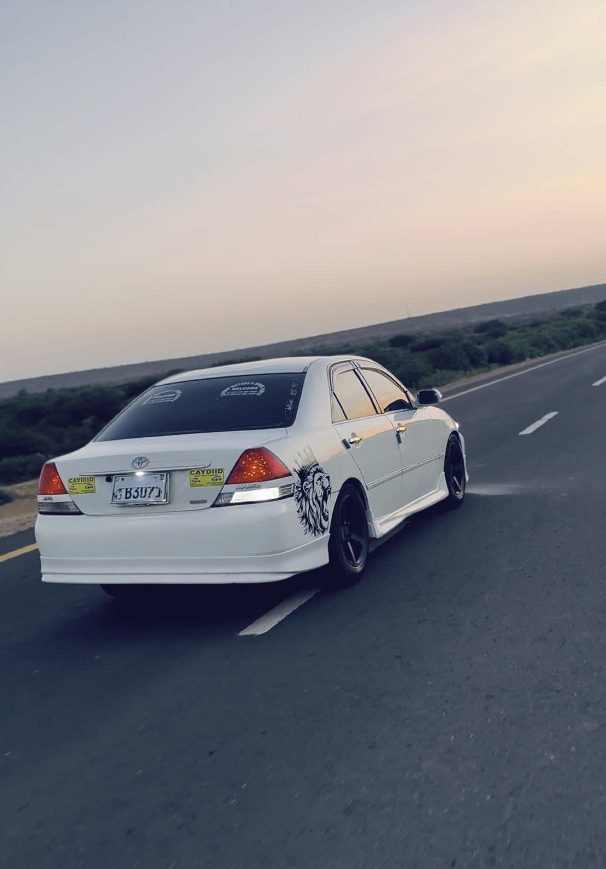 😮‍💨🦅#fypp #somalilandtiktok #foryoupage #B3071😮‍💨 @Omarr @caydiid_company @adoonkialleh @𝑺𝒖𝒉𝒂𝒚𝒃 𝓪𝓫𝓲𝓲𝓫 🩵 🐍 @𝗔𝗺𝗲𝗶𝗻 𝗰𝗮𝗾𝗶𝗹 🐎♨️✅ @H1080🖤 @S83+23🐐🌴 @obka @Sirr._Cazkiee🔥 @A0333✨🐐 