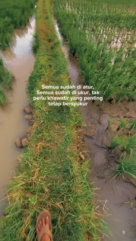 #story #storywa #sunset #pejuangfyp #fyppppppppppppppppppppppp 