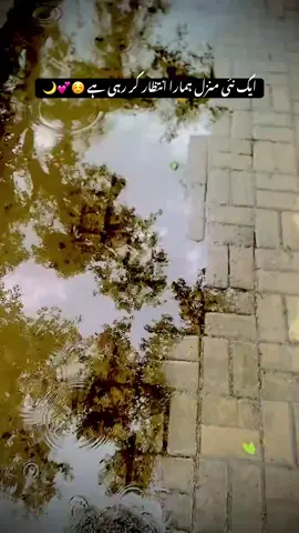 خود کی پسند کی ہوئی چیز بہتر ہے☺😊 مگر خدا کی دی ہوئی چیز 🙃😇بہترین