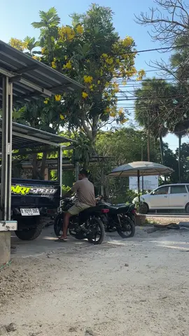 Cuss 77 🇹🇱🇬🇧