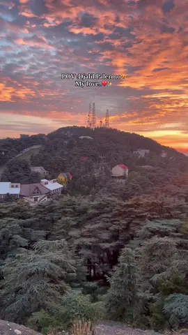 😻✨#djalilpalermo #algeria #foryou #fyppppppppppppppppppppppp #viral #الشعب_الصيني_ماله_حل😂😂 #portoui #maroco🇲🇦algeria🇩🇿tunisia🇹🇳 #athlw__khwati_les_jdour♥️♥️ #tiktok #blida #58ولاية #foryoupage #blida09_tiktok_algérie❤️🇩🇿 #oren #chrea 