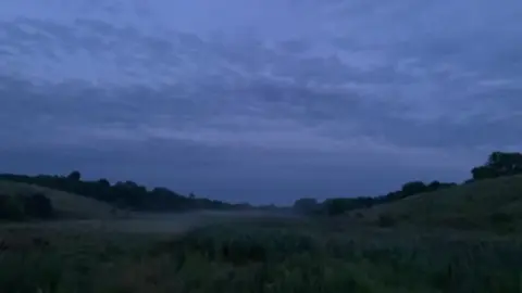 #قرآن_كريم_راحة_نفسية🌷🌻 