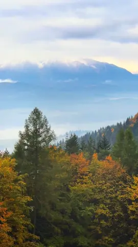 Cudowny widok na ośnieżone Tatry ze szczytu Trzech Koron ❤️  #widoki #widokizgóry #wgorachjestwszystkocokocham #natura 
