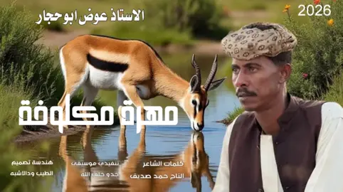 جديد 2026 الأستاذ عوض ابوحجار  مهرة 