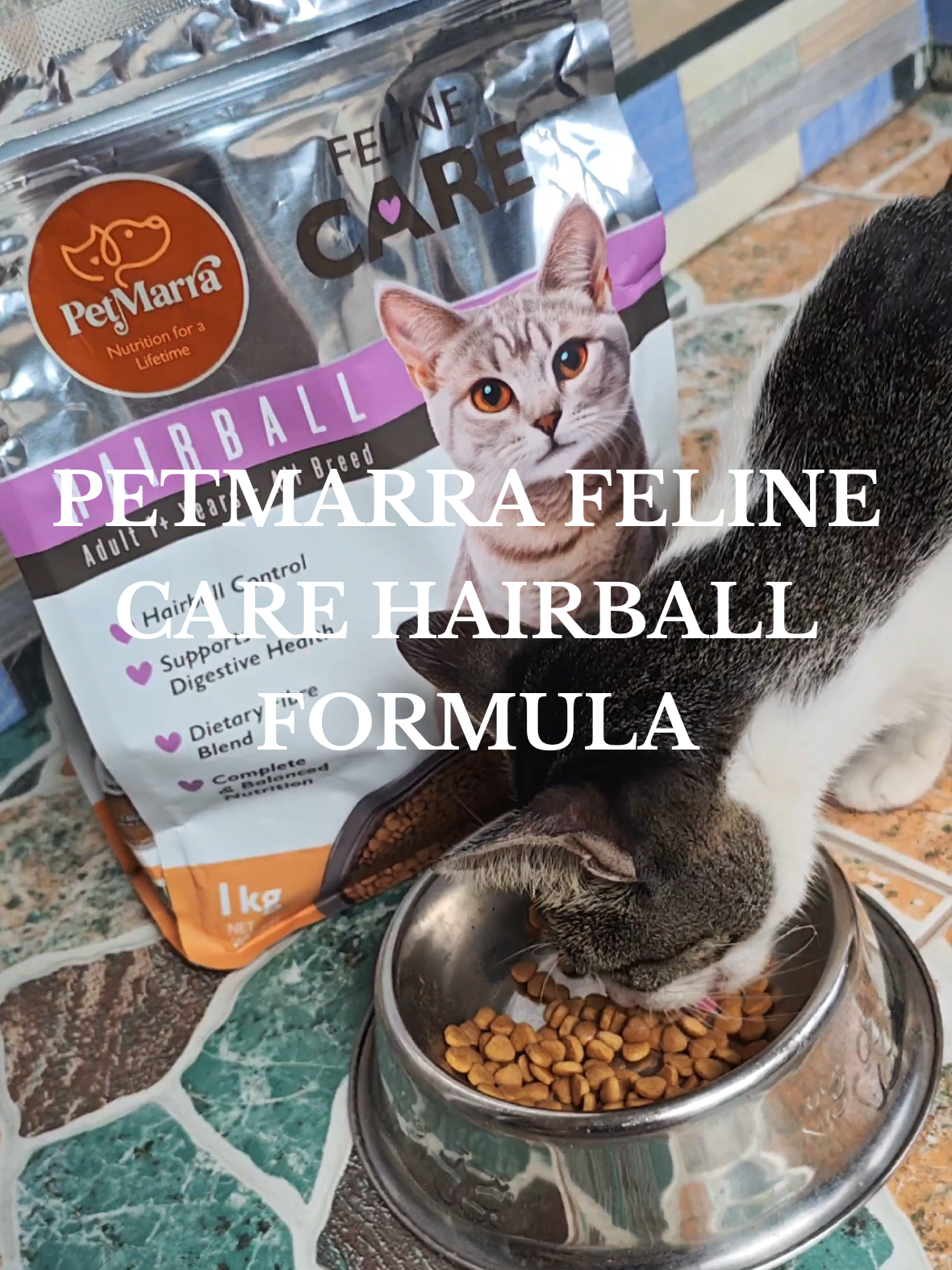 Deserve ni muning ang healthy tummy at stress free na araw 💛 Tulong sa digestion at hairball control with PetMara Feline Care Hairball Formula! #felinecare #petmarracatfood #petmarra #catfood#healthycat 