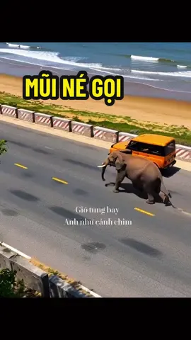 MŨI NÉ GỌI | JEEP TOUR MŨI NÉ 