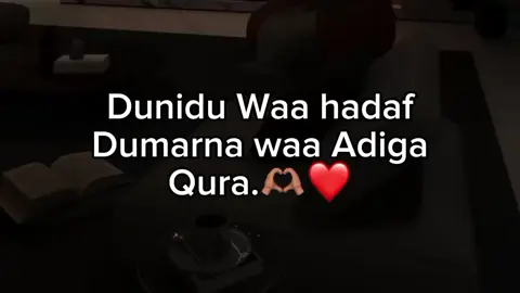 lovsarrr #somalitiktok #vewisproblam😭 #foryoupage #ftypシ #ftyp 