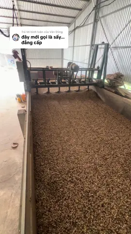 Trả lời @Văn Dũng sau 20 tiếng sấy 😁#sơnla #xuhuongtiktok #cafe #cafeteria #rival 